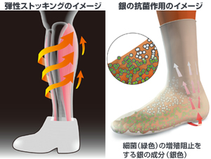弾性ストッキング 東京血管外科クリニック 弾性ストッキング 東京血管外科クリニック